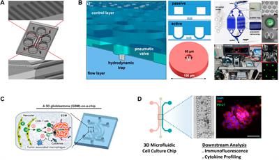 Microfluidic devices: The application in TME modeling and the potential in immunotherapy optimization